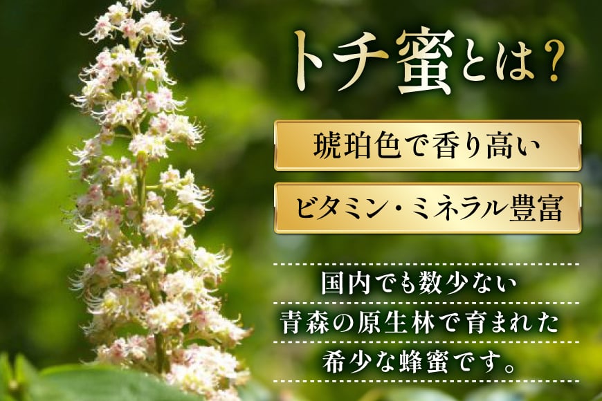 はちみつ 国産 石蔵のはちみつ トチはちみつ 450g 2本 セット [東養蜂場 青森県 おいらせ町 oi02ayo660014] ハチミツ 蜂蜜 トチ蜂蜜