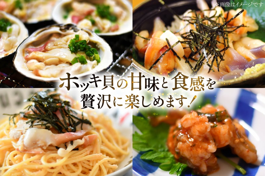 【期間限定発送】【3月発送】 ホッキ貝 5kg [百石町漁業協同組合 青森県 おいらせ町 oi02ayo550004] ほっき貝 ブランド 奥入瀬 北寄貝 ホッキ ほっき