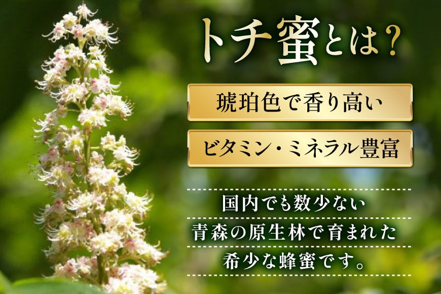 はちみつ 国産 トチはちみつ 2kg [東養蜂場 青森県 おいらせ町 oi02ayo660000] 蜂蜜 ハチミツ トチ蜂蜜