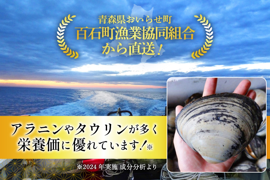 【期間限定発送】【2月発送】 ホッキ貝 5kg [百石町漁業協同組合 青森県 おいらせ町 oi02ayo550003] ほっき貝 ブランド 奥入瀬 北寄貝 ホッキ ほっき