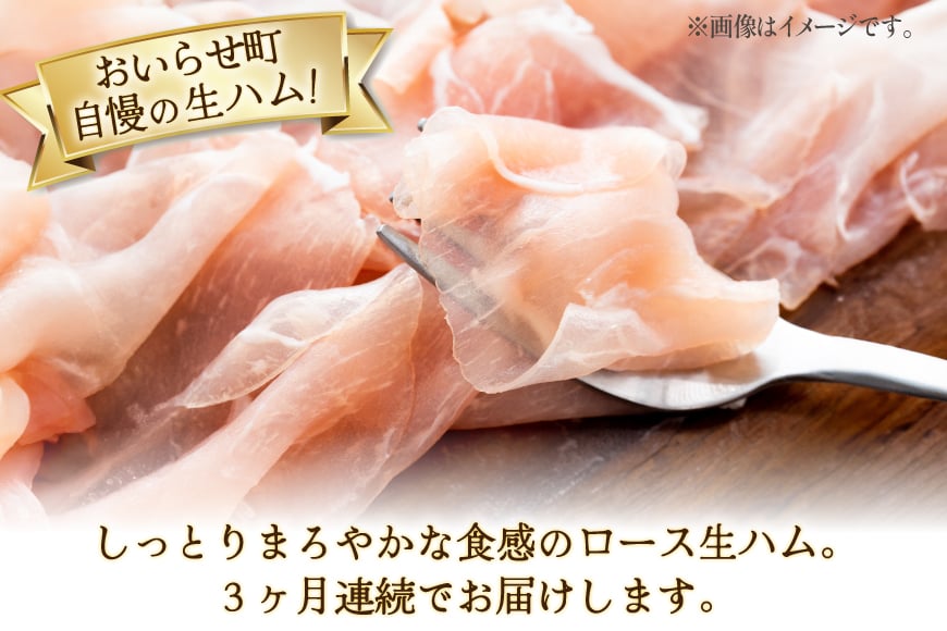 生ハム 3回 定期便 おいらの生ハム 肩ロース 30g 計30p セット [日本ハムマーケティング 青森県 おいらせ町 oi02ayo820010] ハム 日本ハム 日ハム 小分け サラダ おつまみ
