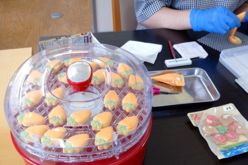 【思いやり型返礼品（支援型）】 クッキー アイシングクッキー 青い森のなかまたち 4袋 詰め合わせ セット [ＣＯＣＯテラスジャパン 青森県 おいらせ町 oi02ayo770000] 焼菓子 菓子 洋菓子 かわいい 手作り