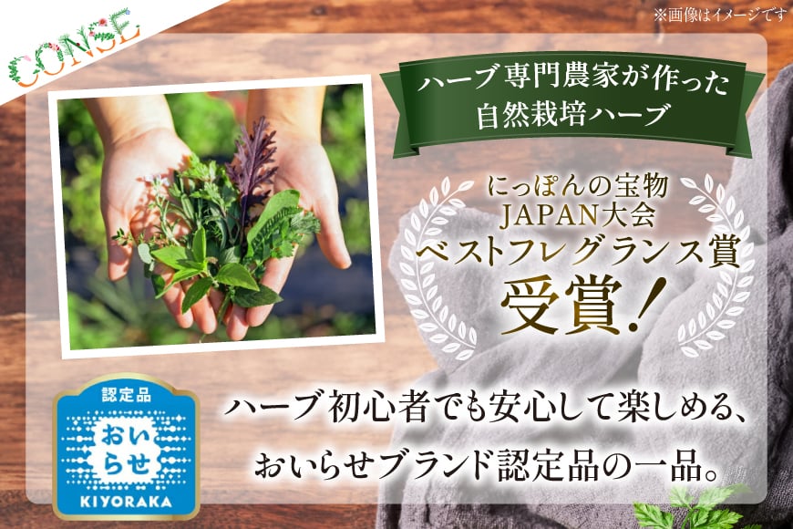 ハーブ セット 自然栽培ハーブ 詰め合わせ [CONSE 青森県 おいらせ町 oi02ayo640000] ハーブソルト 塩 アップルティ ハーブティ お茶 紅茶 茶葉