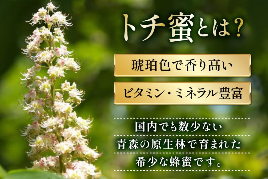はちみつ 国産 トチはちみつ 1kg [東養蜂場 青森県 おいらせ町 oi02ayo660001] 蜂蜜 ハチミツ トチ蜂蜜