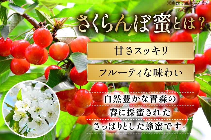 はちみつ 国産 アカシアはちみつ 500g りんごはちみつ 100g さくらんぼはちみつ 100g 各1本 [東養蜂場 青森県 おいらせ町 oi02ayo660006] 蜂蜜 詰め合わせ アカシア りんご リンゴ さくらんぼ