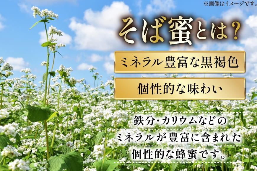 はちみつ 国産 バラエティー ハチミツ 100g 4本 セット [東養蜂場 青森県 おいらせ町 oi02ayo660005] 蜂蜜 詰め合わせ アカシア トチ りんご リンゴ そば 蕎麦