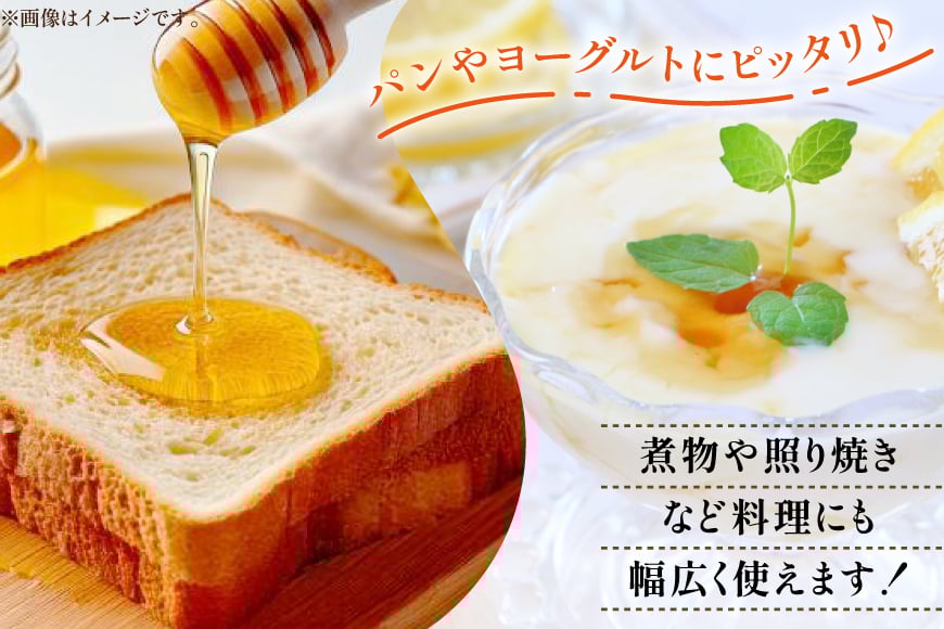 はちみつ 国産 バラエティー ハチミツ 100g 4本 セット [東養蜂場 青森県 おいらせ町 oi02ayo660005] 蜂蜜 詰め合わせ アカシア トチ りんご リンゴ そば 蕎麦