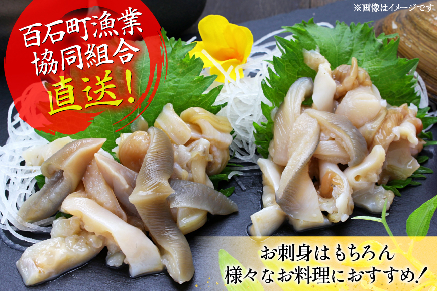 【期間限定発送】【3月発送】 ホッキ貝 5kg [百石町漁業協同組合 青森県 おいらせ町 oi02ayo550004] ほっき貝 ブランド 奥入瀬 北寄貝 ホッキ ほっき