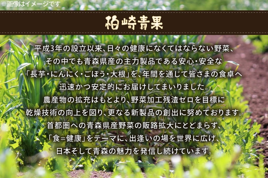 青森県産 にんにく スライス 計60g (30g×2袋) [柏崎青果 青森県 おいらせ町 oi02ayo620012] ニンニク ガーリック 乾燥 保存食 常温 備蓄 簡易包装 小分け