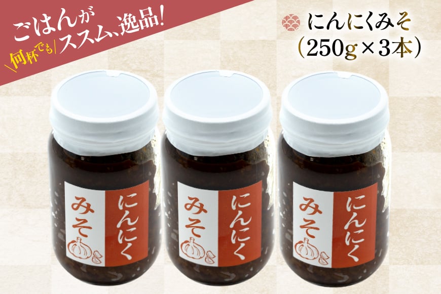 ご飯のお供 にんにく みそ 3本 瓶 タイプ [みむら加工所 青森県 おいらせ町 oi02ayo810001] みそ ミソ 味噌 ニンニク ごはんのお供 おかず