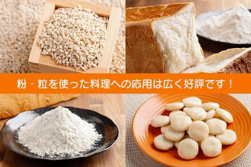 もち小麦 詰め合わせ セット もち姫(粒) 300g 2袋 もち姫(粉) 500g 2袋 姫っこもち 200g 3袋 [アグリの里おいらせ 青森県 おいらせ町 oi02ayo590008] 小麦 もち 餅 モチ もち麦