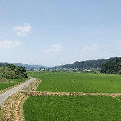 【青森ごのへ産】味に自信 りんご  サンふじ 約5kg【配送不可地域：離島・沖縄県・中国・四国・九州】【1034082】