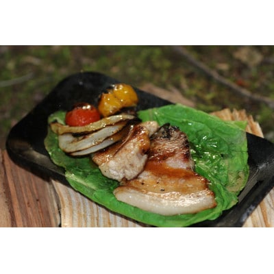 [TTF02]フェニックスライズの鉄板「焚き火テッパン　厚さ4.5mm　メスティンサイズ」【配送不可地域：離島・沖縄県】【1218010】