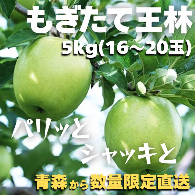 【青森ごのへ産】 パリッと、シャキッとした王林 約5kg(16〜20玉)【配送不可地域：離島・沖縄県・中国・四国・九州】【1051220】