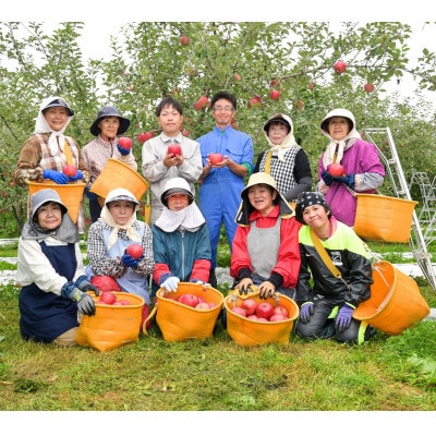 【青森産りんご】紅玉　約3kg(訳アリ含む)【配送不可地域：離島・沖縄県】【1357285】