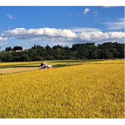 ã什å7幎ç£ããŸã£ããããçç±³30kgãé
éäžå¯å°åïŒé¢å³¶ã»æ²çžçãã1676761ã