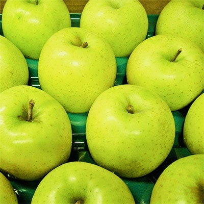 【青森ごのへ産】 パリッと、シャキッとした王林 約5kg(16〜20玉)【配送不可地域：離島・沖縄県・中国・四国・九州】【1051220】