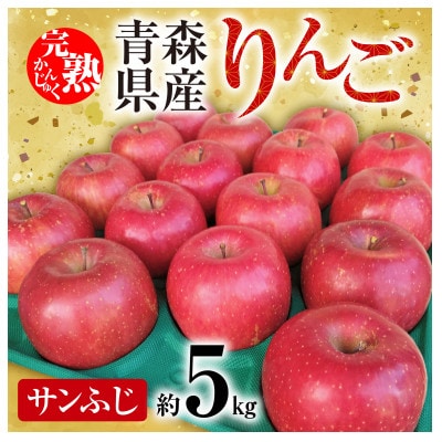 「青森県五戸町産」サンふじりんご　約5kg(12〜20玉)【配送不可地域：離島・沖縄県】【1101259】