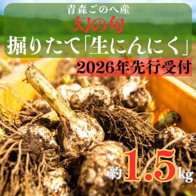 幻の旬!青森ごのへ町産　掘りたて土付き「生」にんにく　Lサイズ以上　約1.5kg【配送不可地域：離島・沖縄県】【1599840】