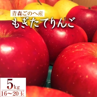 【青森ごのへ産】 もぎたてりんご 5kg(16〜20玉)【配送不可地域：離島・沖縄県・中国・四国・九州】【1033632】