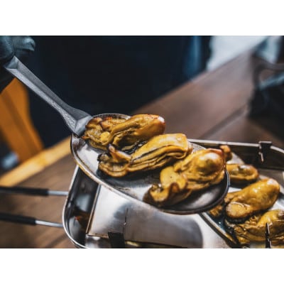 [KT-2F01]フェニックスライズの鉄板「小鉄/鉄(本体・取っ手セット)」【配送不可地域：離島・沖縄県】【1720560】