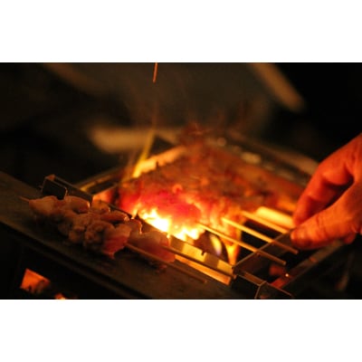 フェニックスライズの焚火台「ジビエグリル」【配送不可地域：離島・沖縄県】【1217908】