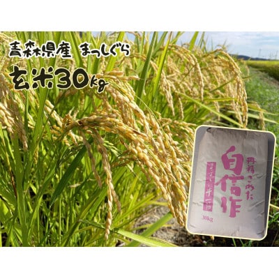 【令和7年産】まっしぐら　玄米30kg【配送不可地域：離島・沖縄県】【1676761】
