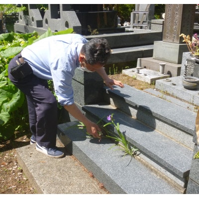 お墓参り(水洗い)・お掃除代行サービス(1回分)※3平方メートル以下の墓地【配送不可地域：離島・沖縄県】【1377801】