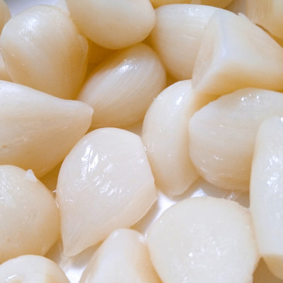 幻の旬!青森ごのへ町産　掘りたて土付き「生」にんにく　Lサイズ以上　約1.5kg【配送不可地域：離島・沖縄県】【1599840】