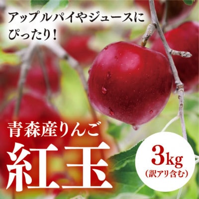 【青森産りんご】紅玉　約3kg(訳アリ含む)【配送不可地域：離島・沖縄県】【1357285】