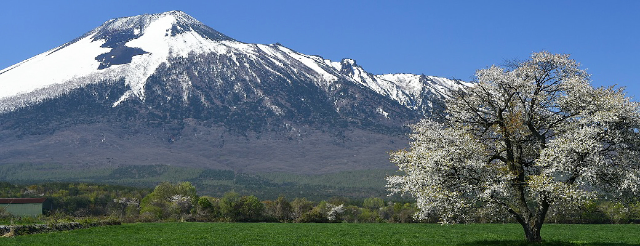 岩手県岩手県庁