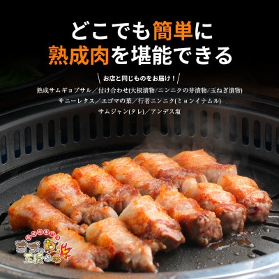 熟成サムギョプサルセット+サムジャン12袋セット【配送不可地域：離島】【1476733】