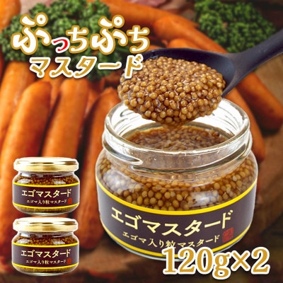 プチプチ食感　黄金の粒マスタード2個(プレーン120g×2個)エゴマ入り(無添加)【1694954】