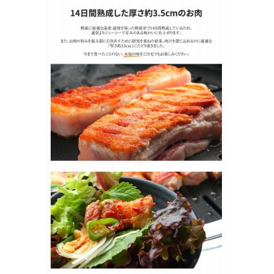 熟成サムギョプサルセット+サムジャン12袋セット【配送不可地域：離島】【1476733】