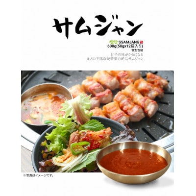 熟成サムギョプサルセット+サムジャン12袋セット【配送不可地域：離島】【1476733】
