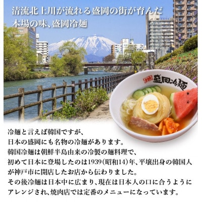 やまなか家の伝統の味本場盛岡冷麺!4食セット　(G-006)【配送不可地域：離島】【1403095】