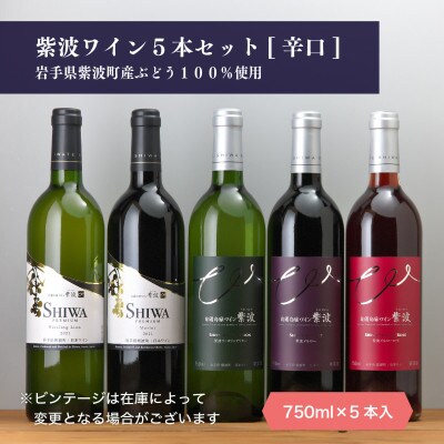 自園自醸ワイン紫波 辛口ワイン5本セット【1688301】