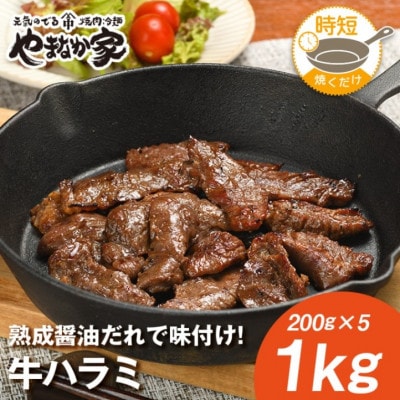 やまなか家の旨みたっぷり牛ハラミ【熟成醤油だれ】1kg(K2-025)【配送不可地域：離島】【1405431】