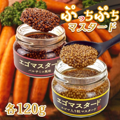 プチプチ食感　粒マスタード2種(プレーン120gとバルサミコ風味120g)エゴマ入り(無添加)【1694944】