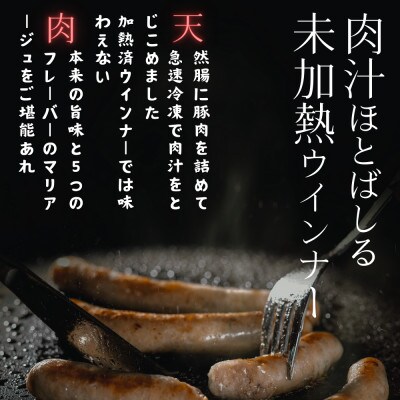 高原育ちのフレッシュウインナー5種詰合せ【配送不可地域：離島】【1660327】