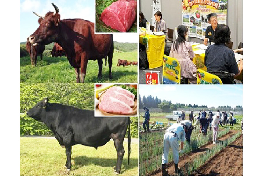 14.岩手の農林水産業を応援