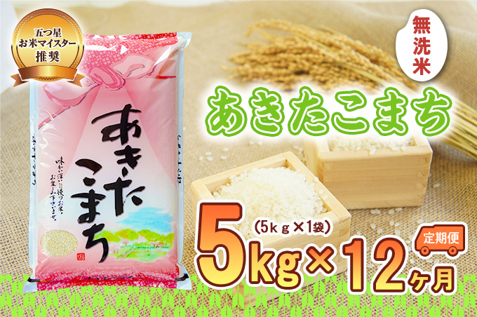 【12か月定期便】盛岡市産あきたこまち 無洗米 5kg×12か月 お米 