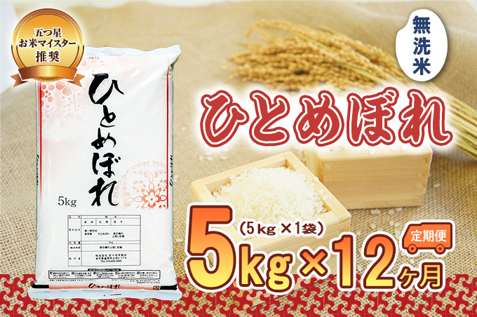 【12か月定期便】盛岡市産ひとめぼれ 無洗米 5kg×12か月 お米 