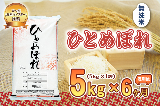 米 定期便 6ヶ月 ひとめぼれ 無洗米 5kg お米 精米 白米 こめ コメ おこめ ごはん お米マイスター 推奨 ブランド米 常温 国産 岩手県 岩手 盛岡市産 定期 お楽しみ 6回