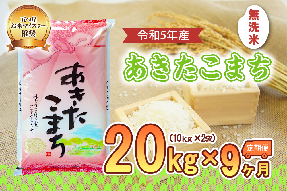 【9か月定期便】盛岡市産あきたこまち【無洗米】20kg×9か月