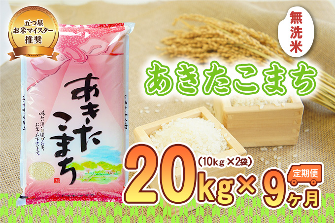 【9か月定期便】盛岡市産あきたこまち 無洗米 20kg×9か月 お米 