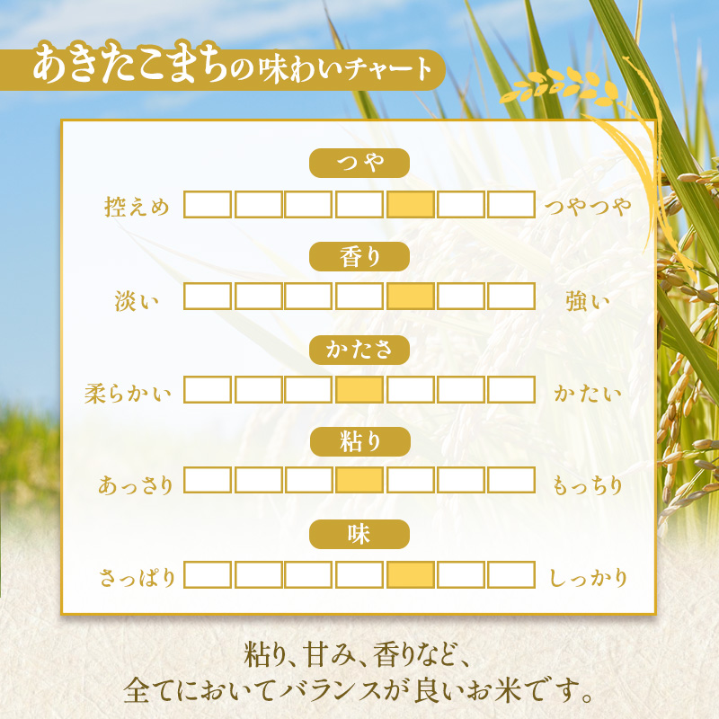 米 定期便 12ヶ月 あきたこまち 5kg お米 精米 白米 こめ コメ おこめ ごはん お米マイスター 推奨 ブランド米 常温 国産 岩手県 岩手 盛岡市産 定期 お楽しみ 12回