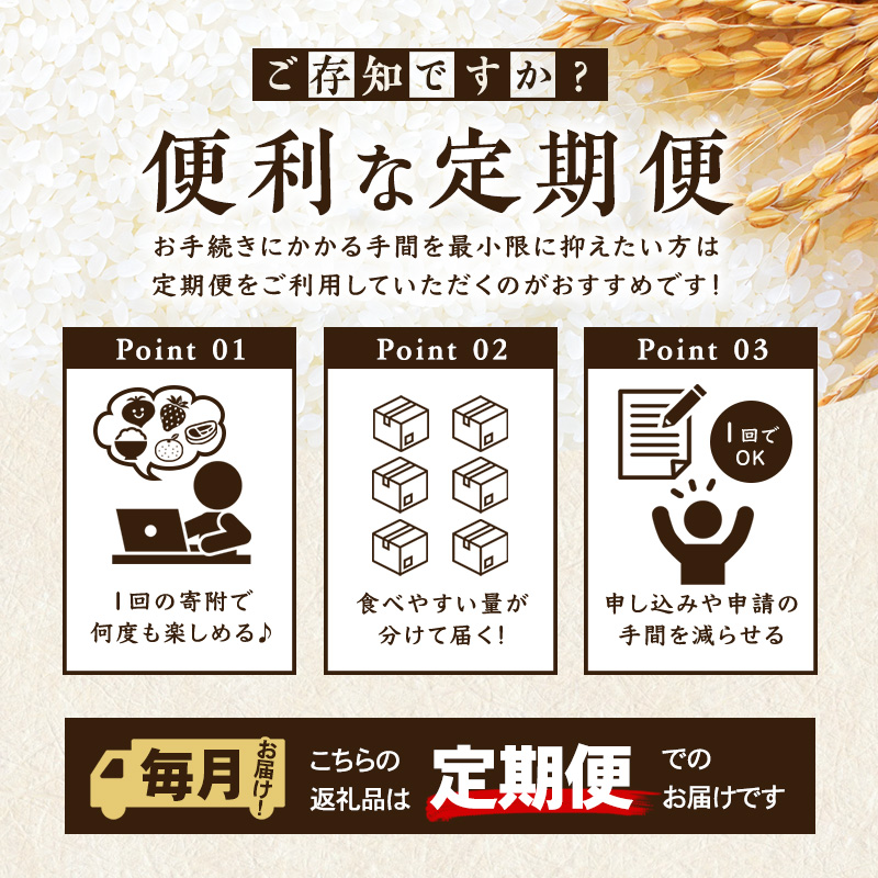 米 定期便 12ヶ月 あきたこまち 無洗米 10kg(5kg×2) お米 精米 白米 こめ コメ おこめ ごはん お米マイスター 推奨 ブランド米 常温 国産 岩手県 岩手 盛岡市産 定期 お楽しみ 12回