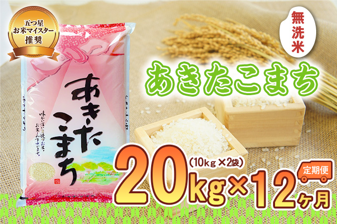 【12か月定期便】盛岡市産あきたこまち 無洗米 20kg×12か月 お米 