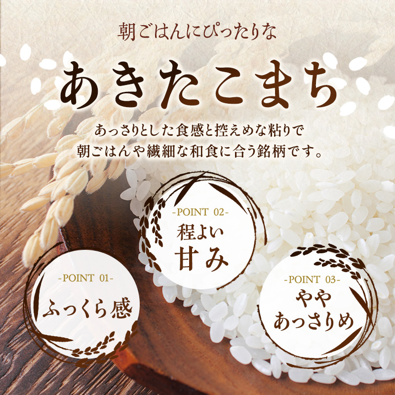 米 定期便 12ヶ月 あきたこまち 無洗米 30kg(5kg×6) お米 精米 白米 こめ コメ おこめ ごはん お米マイスター 推奨 ブランド米 常温 国産 岩手県 岩手 盛岡市産 定期 お楽しみ 12回